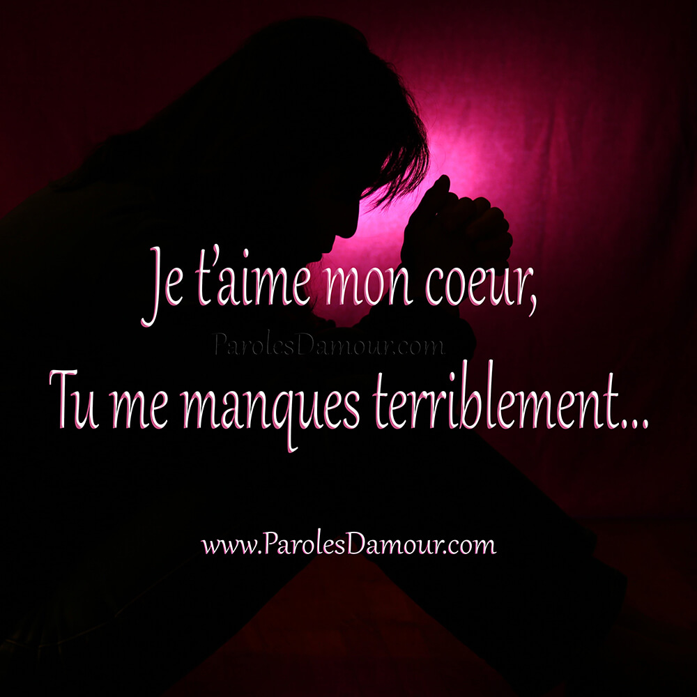 je t'aime mon amour tu me manques