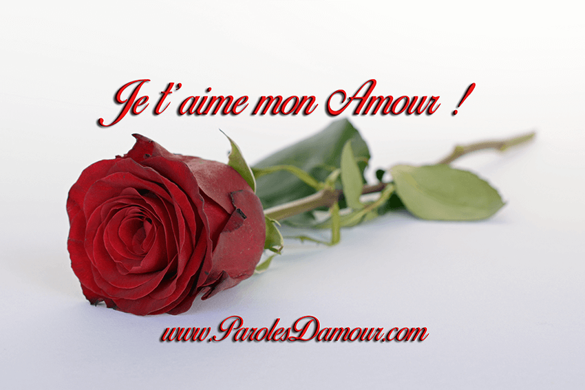 je t'aime mon amour